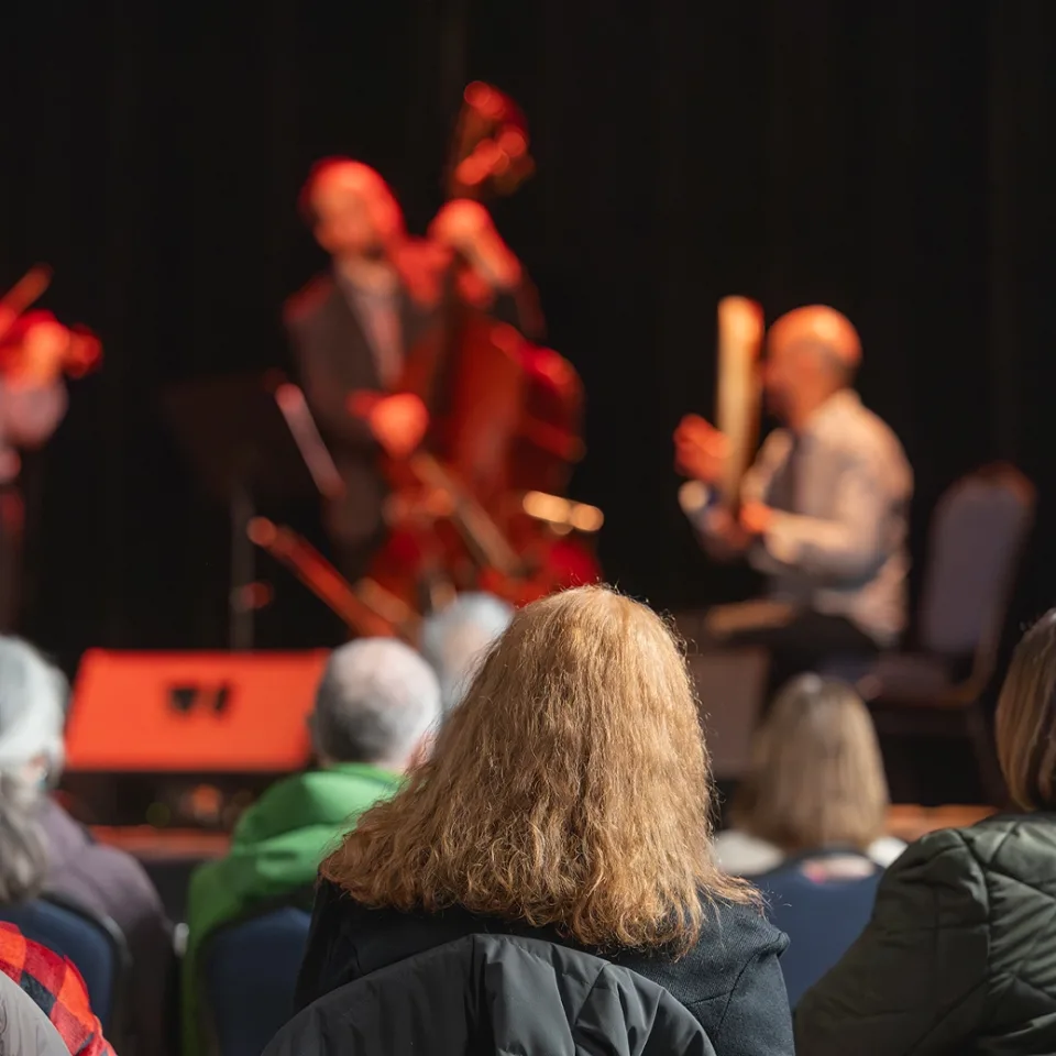 Spectatrice, de dos, regardant le spectacle d'un ensemble musical.