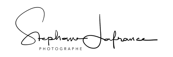 Logo Stéphane Lafrance